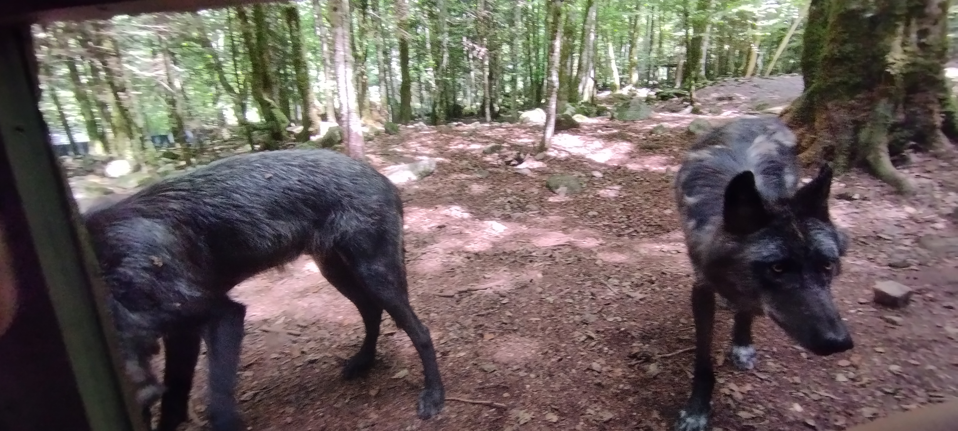 Photo n° 10 de l'avis de Fabrice.e fait le 19/08/2023 à 21:56