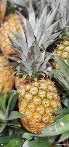 Grocery Store «C-Town Supermarkets», reviews and photos, 169-15 Hillside Avenue, Jamaica, NY 11432, USA