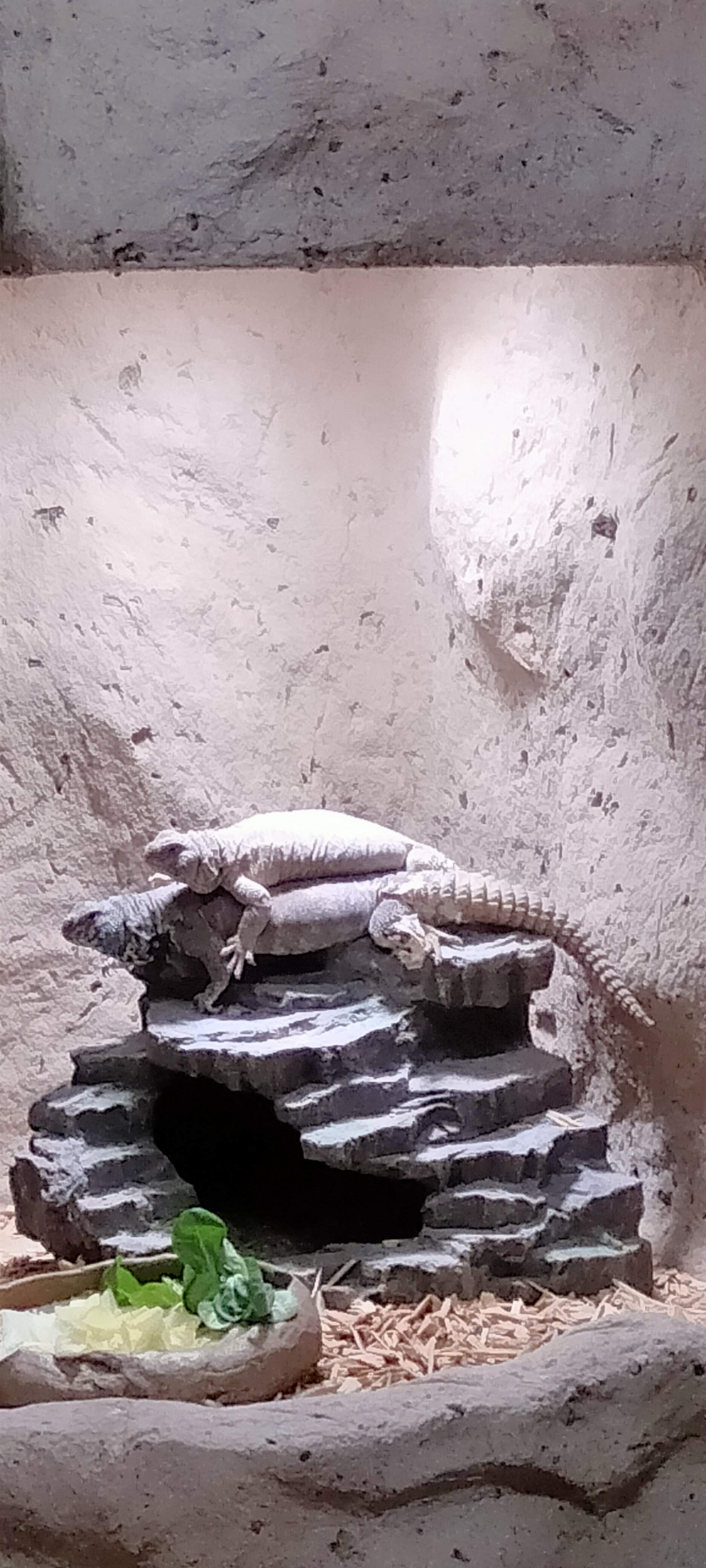 Photo n° 4 de l'avis de Dany.u fait le 19/03/2023 à 19:21