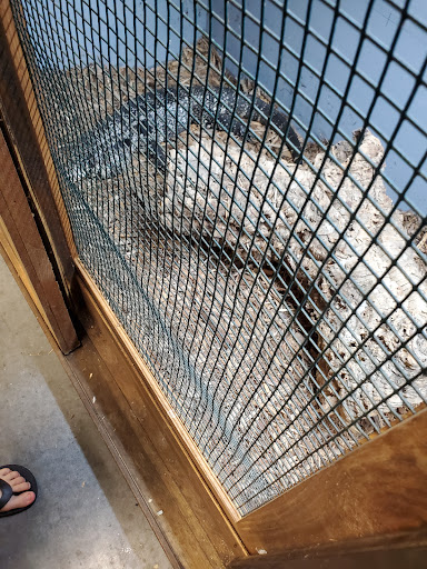 Pet Store «Land And Sea Exotic Pets», reviews and photos, 785 Seaboard Dr Ste 202, Dallas, GA 30132, USA