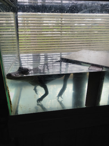 Pet Supply Store «Pet Supplies Plus», reviews and photos, 2202 S Bend Ave Suite 1, South Bend, IN 46635, USA