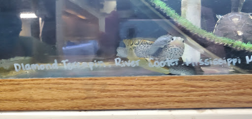 Pet Store «Animal Ark Pet Stores», reviews and photos, 33 Center St, Orem, UT 84057, USA