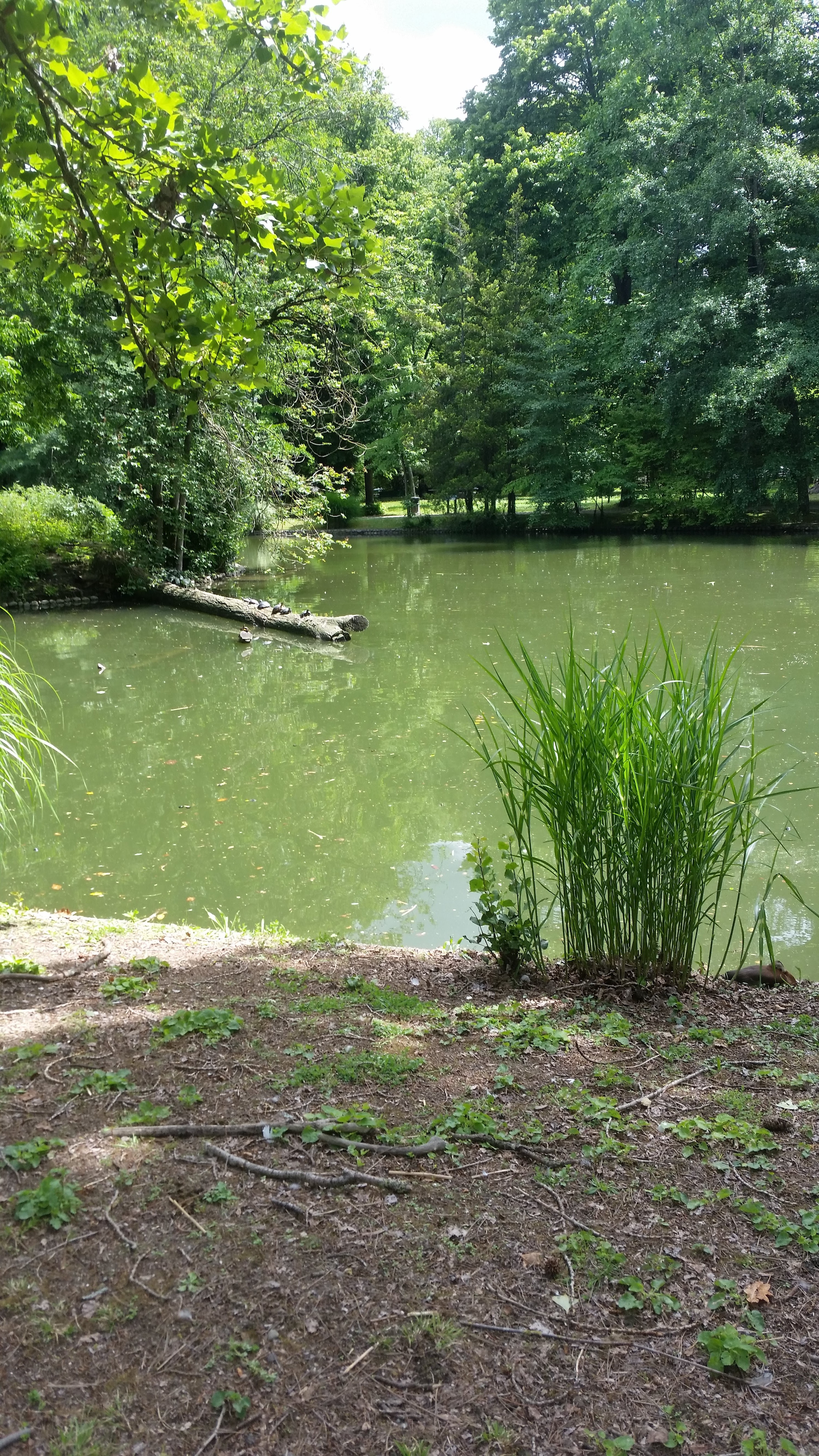 Photo n° 20 de l'avis de didier.r fait le 30/05/2019 à 11:53