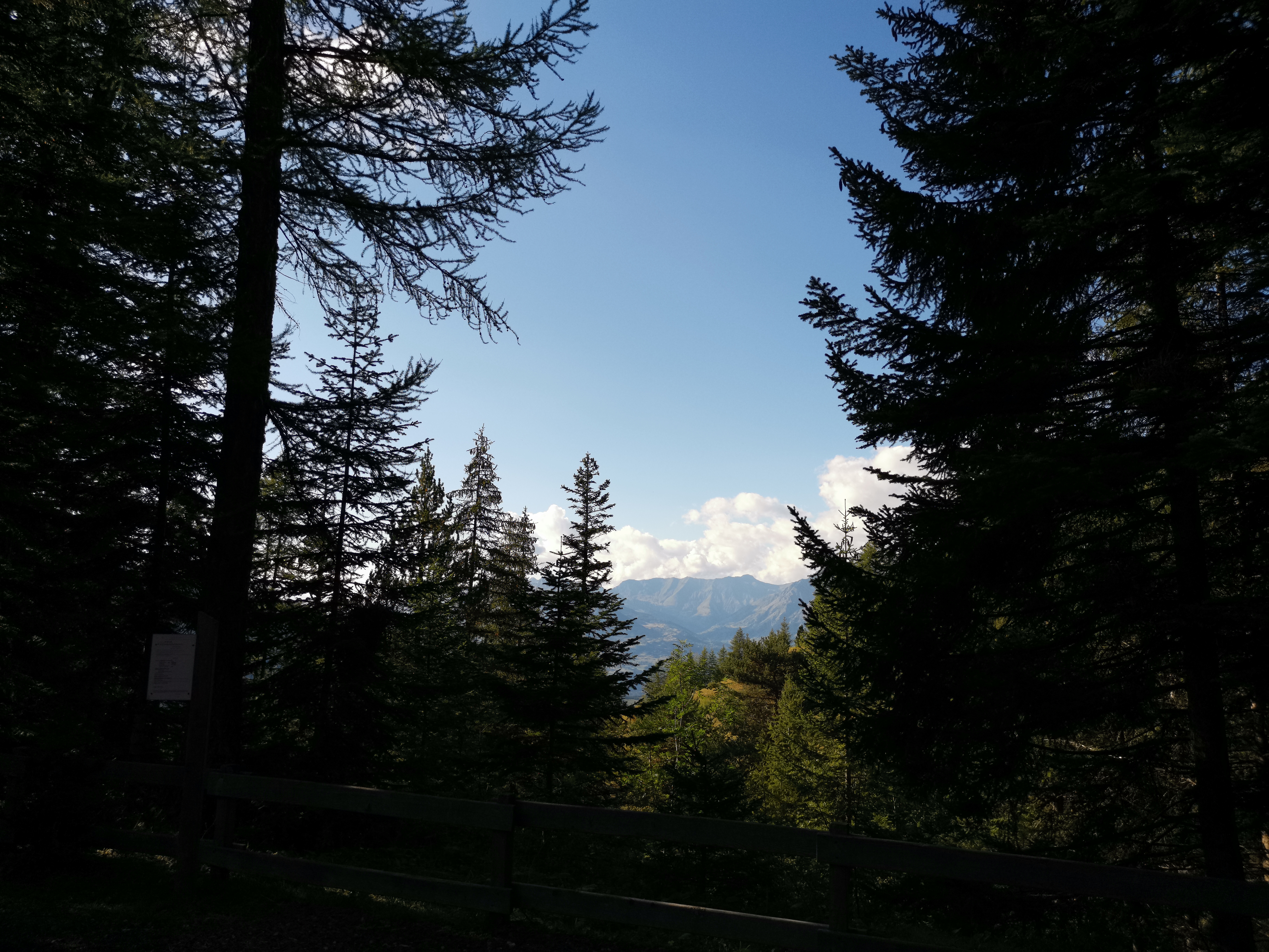 Photo n° 2 de l'avis de Hans.a fait le 07/09/2020 à 23:30
