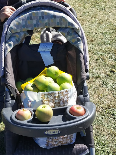 Orchard «Barton Orchards - Noxon Road Store Open Year Round - The Farm is CLOSED for the Season.», reviews and photos, 63 Apple Tree Ln, Poughquag, NY 12570, USA