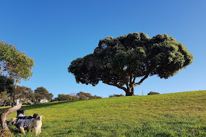 Muraborah Reserve