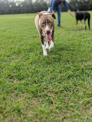 Park «Creekwood Park», reviews and photos, 7025 44th Ave E, Bradenton, FL 34205, USA