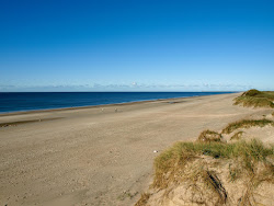 Foto von Skallingen Strand und die siedlung