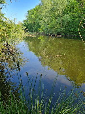 Local du bras mort à Oignies