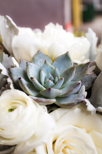 Florist «Ashland Addison Florist», reviews and photos, 3118 N Lincoln Ave, Chicago, IL 60613, USA