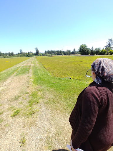 Museum «Cranberry Museum», reviews and photos, 2907 Pioneer Rd, Long Beach, WA 98631, USA