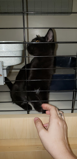 Pet Supply Store «Petco Animal Supplies», reviews and photos, 3372 Cobb Pkwy NW #300, Acworth, GA 30101, USA