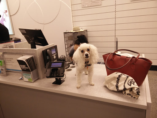 Department Store «Nordstrom Rack East Bay Bridge Shopping Center», reviews and photos, 3839 Emery St, Emeryville, CA 94608, USA