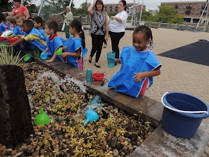SciTech Hands On Museum - photo 15