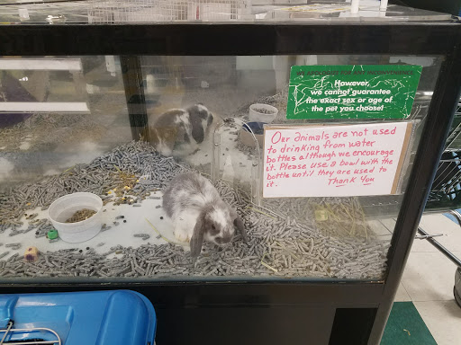 Pet Supply Store «Pet Supplies Plus», reviews and photos, 4824 Broadway St, Quincy, IL 62305, USA