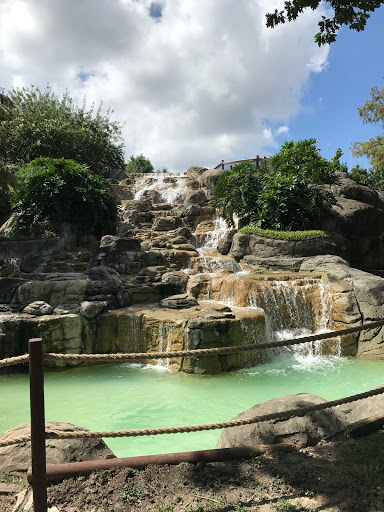 Amusement Park «Boomers! Houston», reviews and photos, 17190 TX-249, Houston, TX 77064, USA