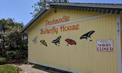 Panhandle Butterfly House & Nature Center