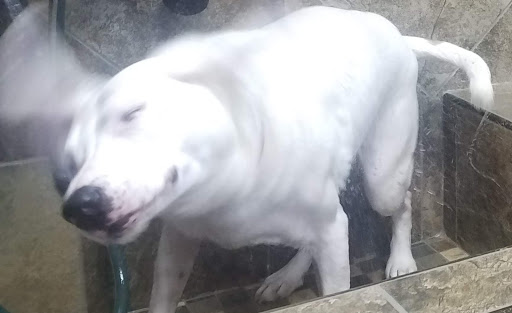 Pet Store «Pet Valu», reviews and photos, 404 E High St, Carlisle, PA 17013, USA