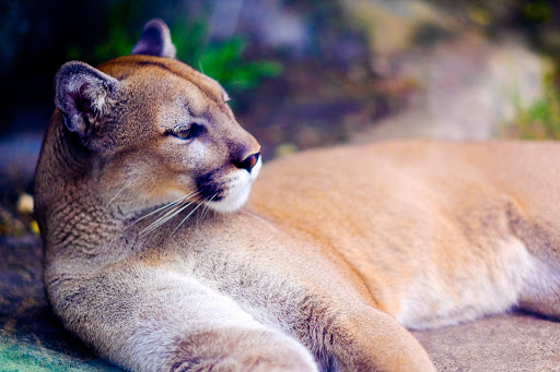 Zoo «Washington Park Zoo», reviews and photos, 115 Lake Shore Dr, Michigan City, IN 46360, USA