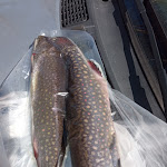 Photo n°1 de l'avis de Sylvie.d fait le 01/05/2021 à 14:32 sur le  Forellenhof Trauntal GbR à Börfink