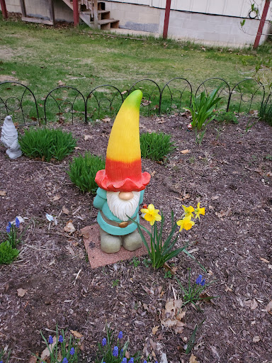 Insurance Agency «Chris Lerchen - State Farm Insurance Agent», reviews and photos