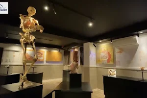 Museu do Corpo Humano - FMJ image
