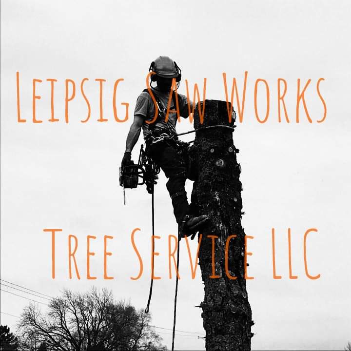 Leipsig Saw Works & Tree service LLC