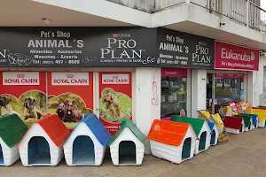 Pet's Shop and Animal Distribuidora's image