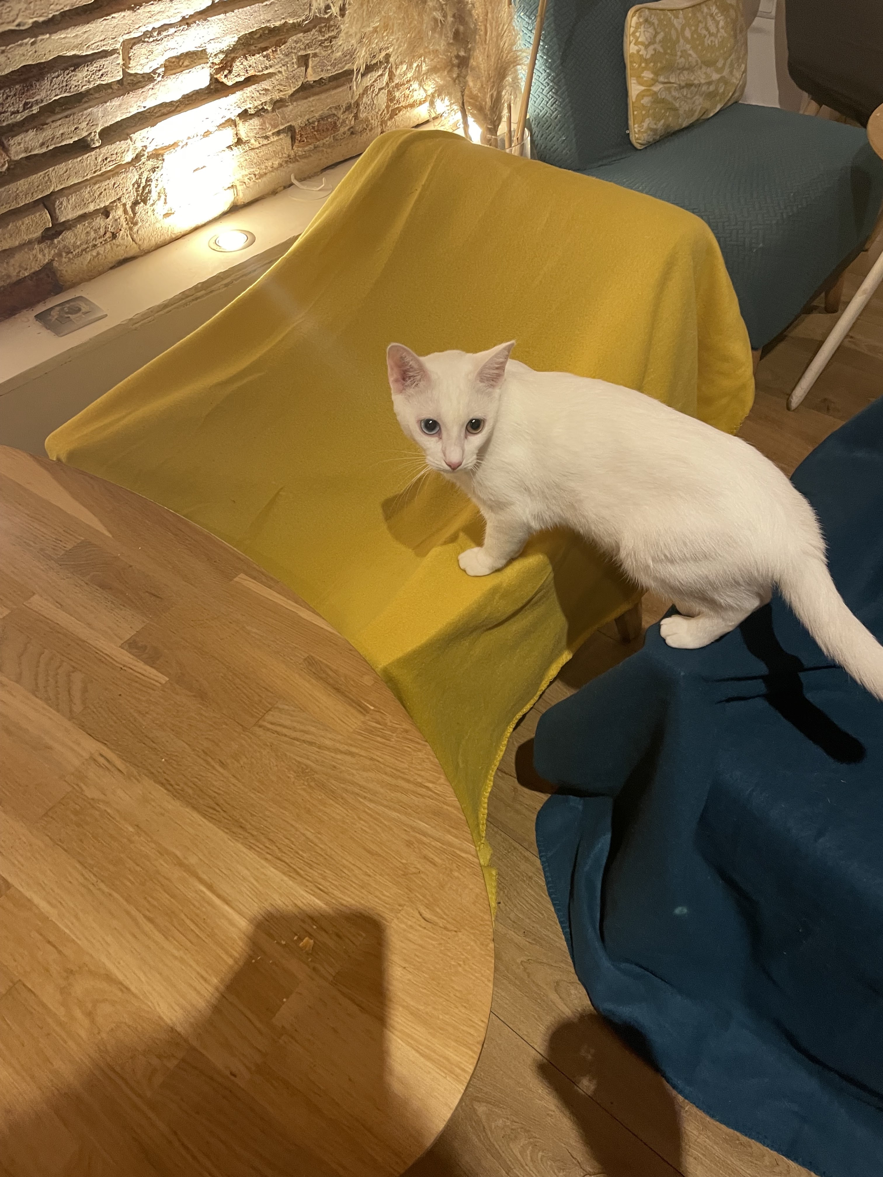 Photo n° 3 de l'avis de Mylène. fait le 29/10/2022 à 19:41