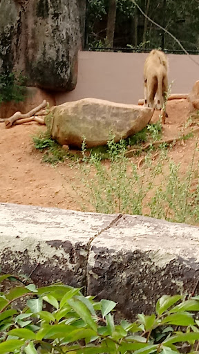 Recreation Center «Clayton County Parks & Recreation», reviews and photos, 2300 State Highway 138, Jonesboro, GA 30236, USA