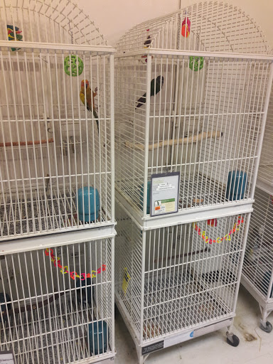 Pet Supply Store «Petco Animal Supplies», reviews and photos, 48 Watertower Plaza, Leominster, MA 01453, USA