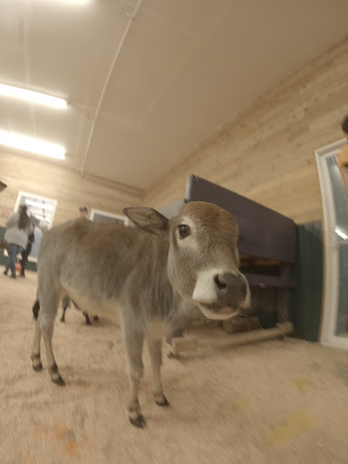 Zoo «Jozee Rooz Indoor Petting Zoo», reviews and photos, 120 138th St S, Tacoma, WA 98444, USA