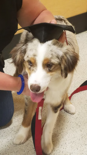 Pet Supply Store «PetSmart», reviews and photos, 3370 Shoppers Dr, McHenry, IL 60050, USA