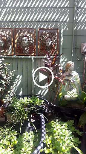 Florist «Thai-Rific Orchids Inc», reviews and photos, 5313 Gulfport Blvd S, Gulfport, FL 33707, USA