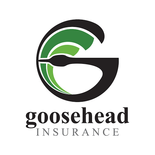 Goosehead Insurance - DAmbrosio Agency, 715 Discovery Blvd Suite 406, Cedar Park, TX 78613, Insurance Agency
