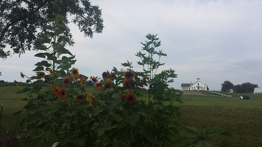 General Store «Parnell General Store», reviews and photos, 10391 5 Mile Rd NE, Ada, MI 49301, USA