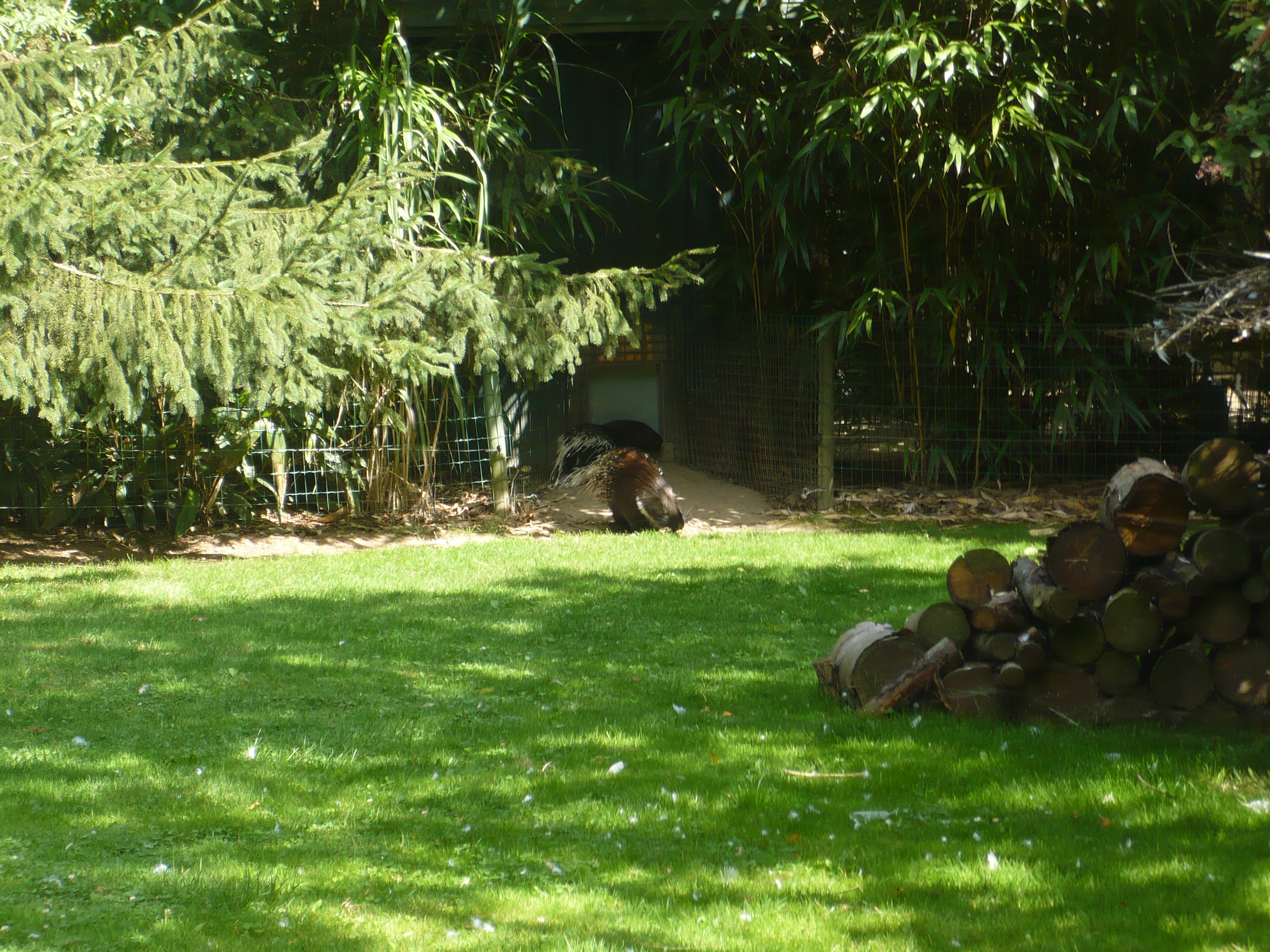 Photo n° 21 de l'avis de Arthur.i fait le 10/07/2021 à 10:56