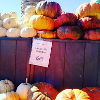 Officially JK - Photo 1 - Car repair in , Hayward