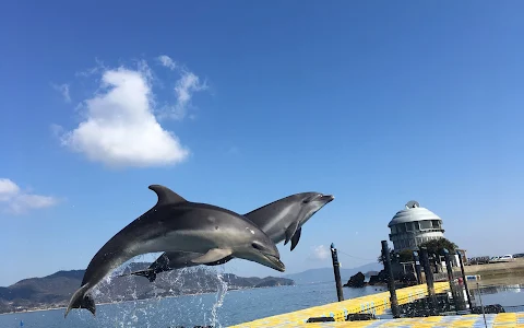 Japan Dolphin Center image
