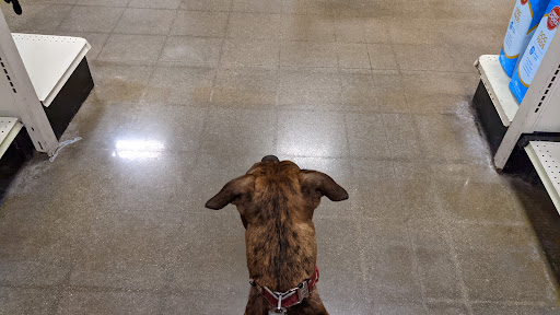 Pet Supply Store «PetSmart», reviews and photos, 2216 E Springs Dr, Madison, WI 53704, USA