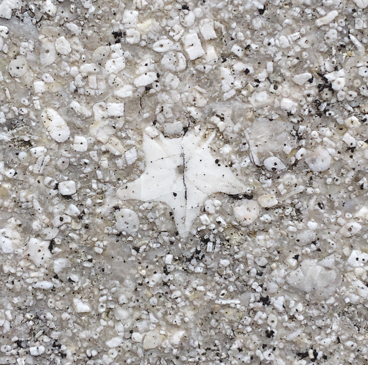 Photo n° 1 de l'avis de Cyrille.E fait le 30/08/2020 à 06:58