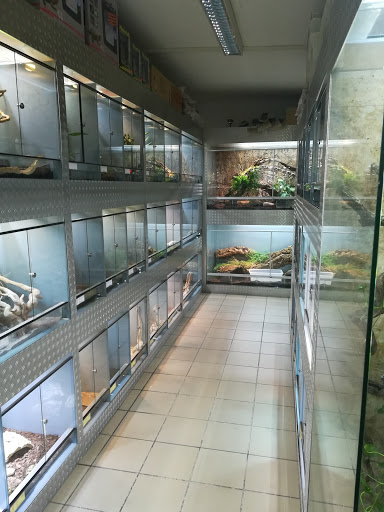 Meining Terraristik unter Stuttgart, 