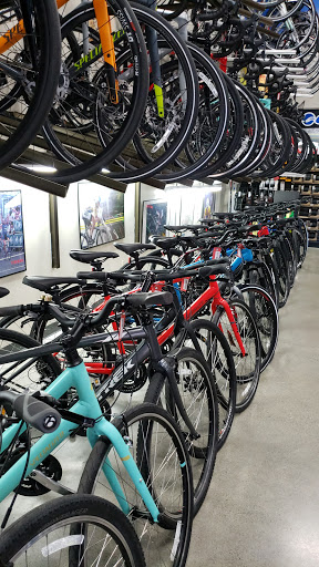 Bicycle Store «Bicycle Centres of Everett», reviews and photos, 4707 Evergreen Way, Everett, WA 98203, USA