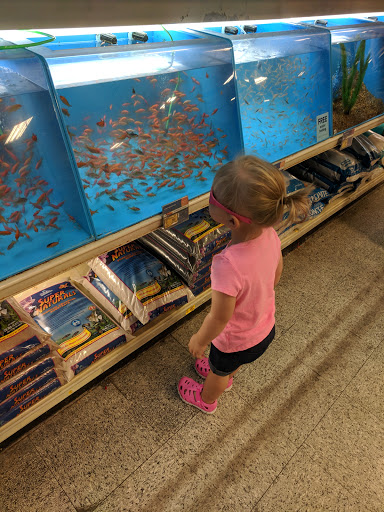 Pet Supply Store «PetSmart», reviews and photos, 2784 Wilma Rudolph Blvd, Clarksville, TN 37040, USA