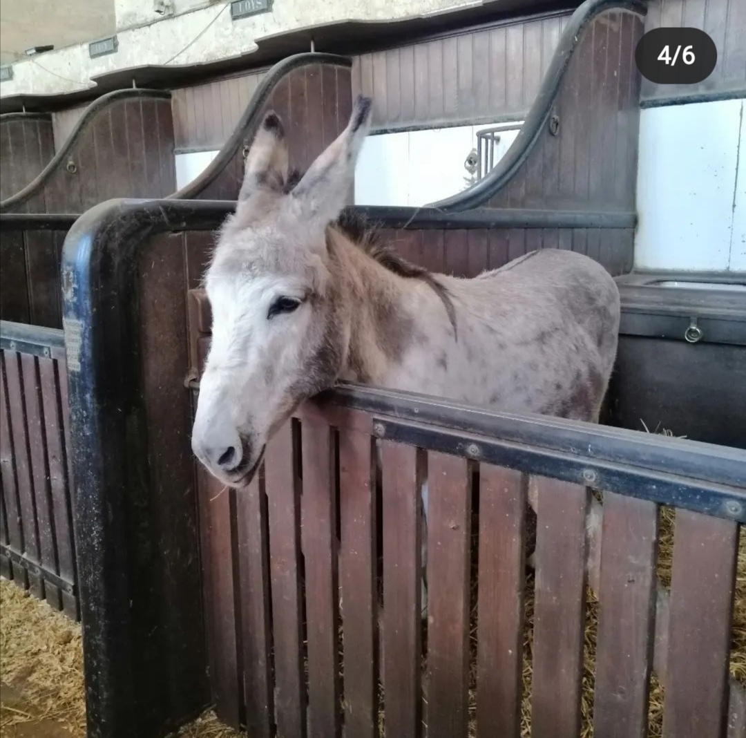 Photo n° 8 de l'avis de Amelie.h fait le 18/05/2022 à 16:34