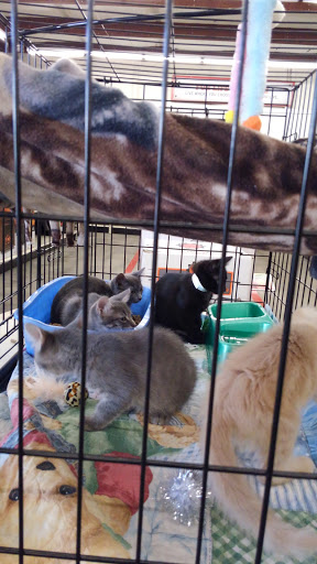 Home Improvement Store «Tractor Supply Co.», reviews and photos, 1111 Halstead Blvd, Elizabeth City, NC 27909, USA