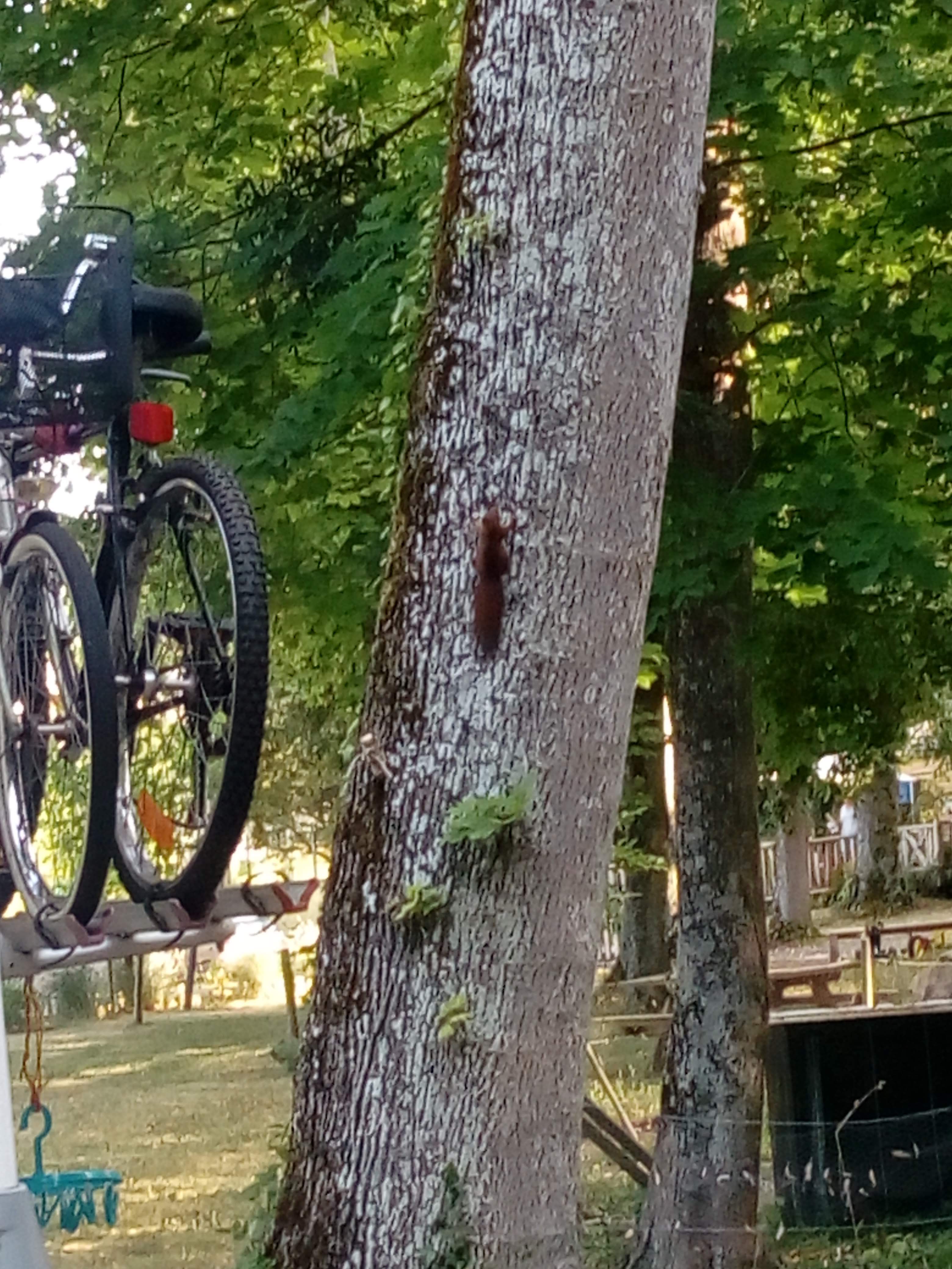 Photo n° 5 de l'avis de Nana. fait le 23/07/2019 à 13:59