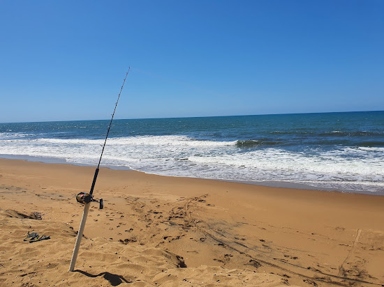 Moore Park Beach