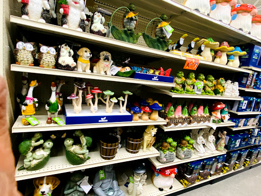 Discount Store «Big Lots», reviews and photos, 751 Good Homes Rd, Orlando, FL 32818, USA