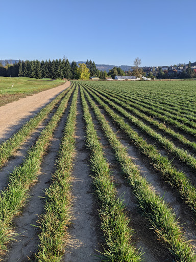Golf Course «Chehalem Glenn Golf Course», reviews and photos, 4501 E Fernwood Rd, Newberg, OR 97132, USA